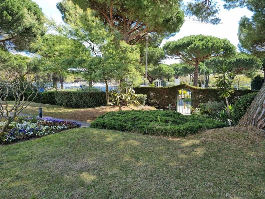 Superbe T2 Tout Confort 3 Etoiles, Entierement Renove Avec Piscine, Parking, Clim, Wifi, Netflix 拉格朗德默特 外观 照片